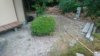 石灰石の庭-3